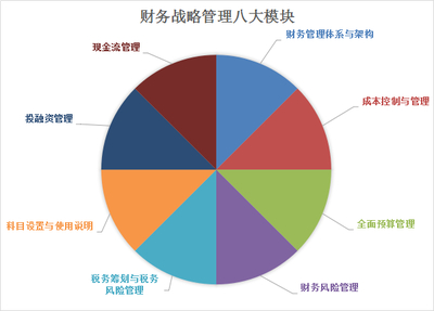 財務總監(jiān)邁向卓越CFO之路 如何開展企業(yè)財務風險管理咨詢服務